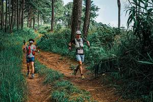 BIB: 
                            <button type="button" onclick="openModal(25659703)" class="btn btn-primary btn-sm float-right btn-popup" data-toggle="modal" data-target=".modal-high-quality">
                        <i class="fas fa-shopping-cart"></i> Add to Cart
                    </button>
                                            <button type="button" onclick="isThisMe(25659703, true)" class="btn btn-success btn-sm float-right btn-popup btn-isme hidden" data-toggle="tooltip" data-placement="bottom" title="นี่คือรูปของคุณใช่ไหม คลิกที่นี่เพื่อเอาเข้าอัลบั้ม">
                        <i class="fas fa-plus"></i> Add to album
                    </button>
                    <button type="button" onclick="isThisMe(25659703, false)" class="btn btn-warning btn-sm float-right btn-popup btn-isnotme hidden">
                        <i class="fas fa-ban"></i> Remove from album
                    </button>